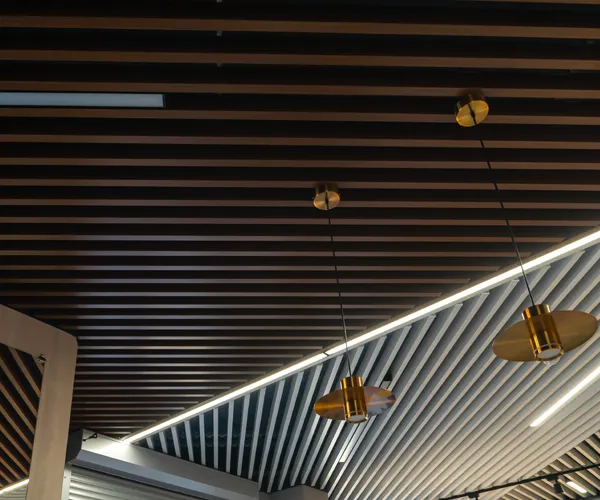 Cell Ceiling